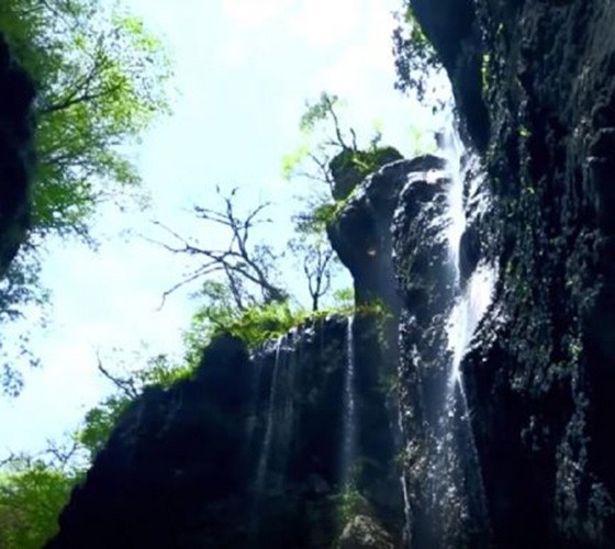 青山綠水，白龍江畔江畔息白鷺，兩岸綠橄欖入眼的都是純樸自然枝上花開(kāi)，春來(lái)水暖魚(yú)蝦戲水，鳥(niǎo)語(yǔ)花香心中充滿(mǎn)著舒暢之感祥宇生態(tài)產(chǎn)業(yè)園，位于隴南市武..